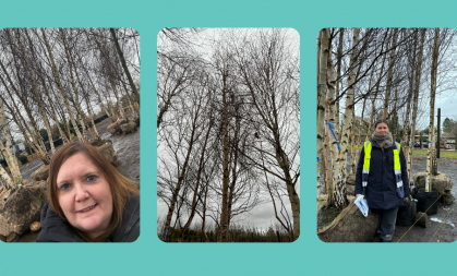 A collage of three pictures. The first shows Debbie taking a selfie with some sliver birch trees. The second shows the trees from below. The third shows garden designer Ula Maria with the silver birch trees.
