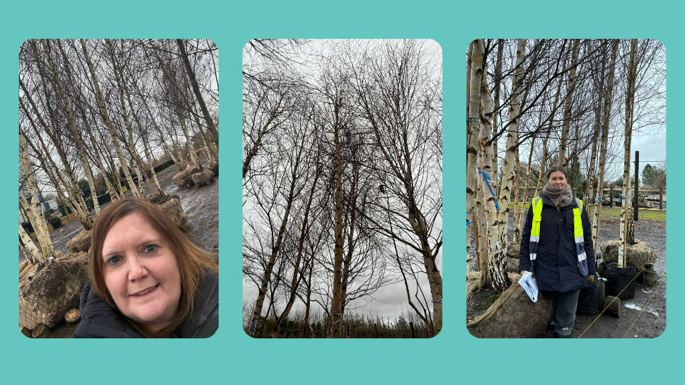 Three photos from the build at Chelsea Flower Show