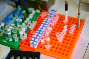 test tubes in a lab
