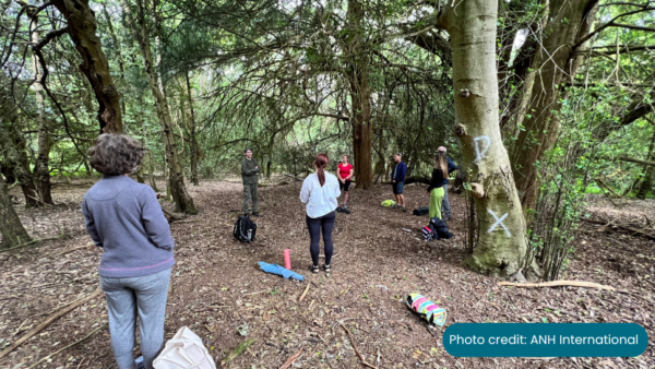A group of people stand in a forest enjoying the beauty.