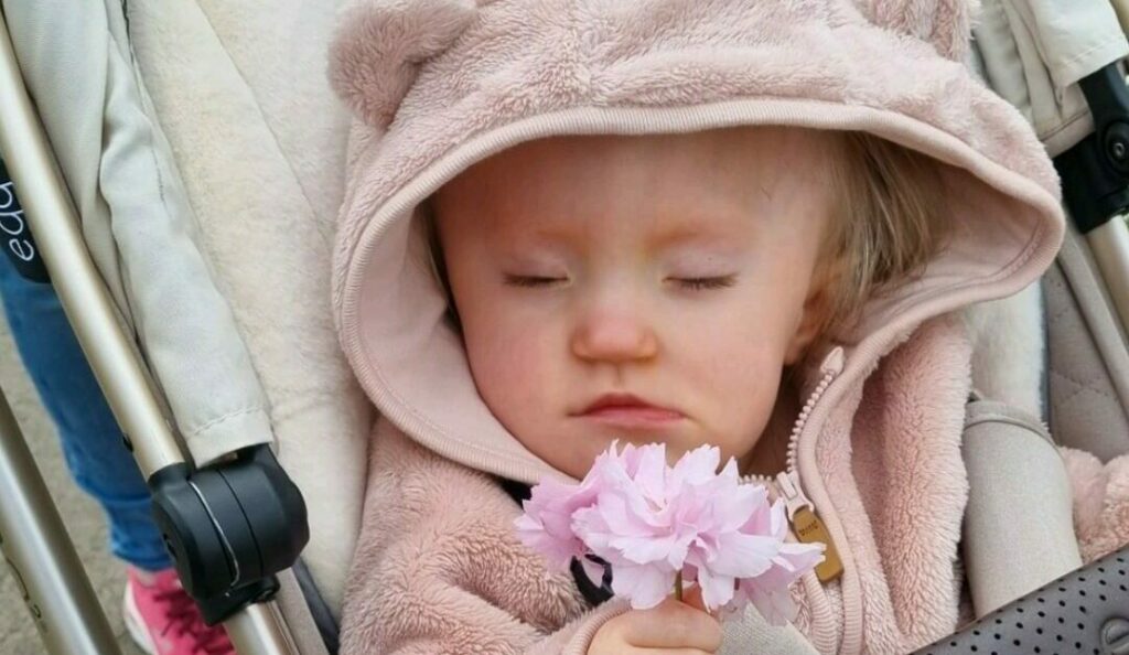 A photo of a baby in a pink coat sleeping in a pram