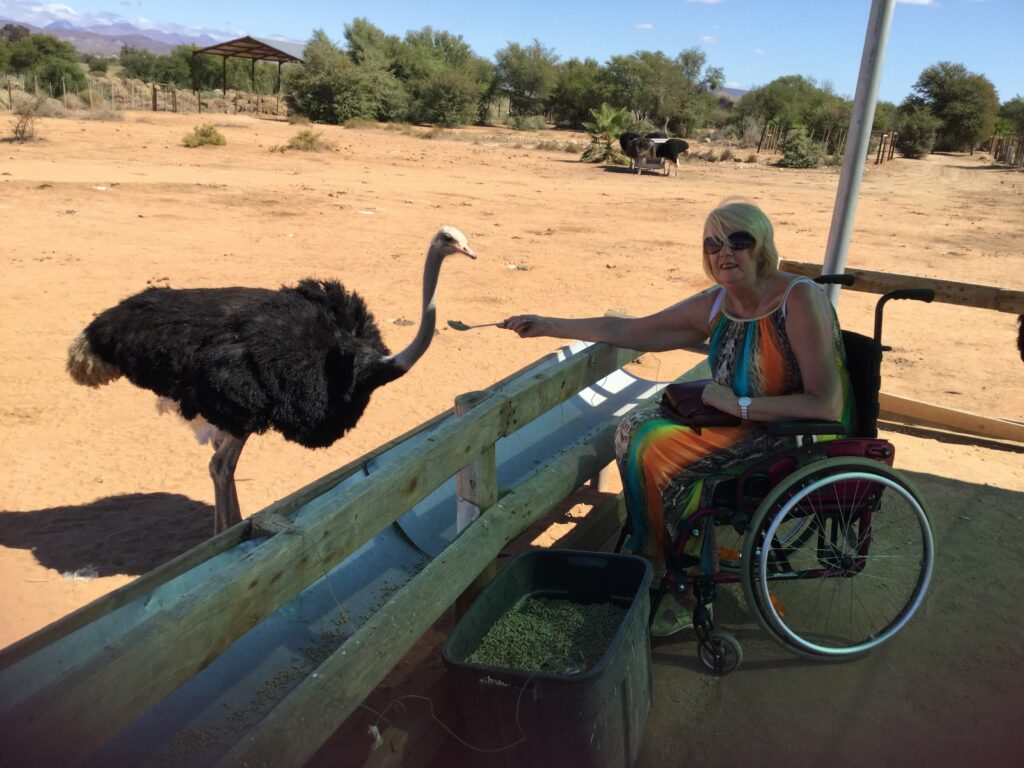 Theresa feeding a Ostrich