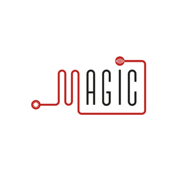 Logo for the magic consortium project, with a red line connecting throughout the writing.