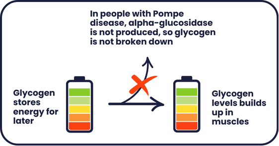 Battery becoming overcharged to represent what happens in Pompe disease. As alpha-glucosidase is not produce, glycogen cannot be broken down, leading to high levels which are harmful to muscles.