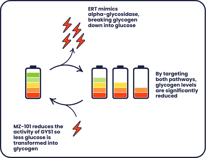 Image showing how both ERT and MZ-101 could work together to stop too much glycogen being stored. Image shows a full battery with ERT behaving as alpha-glycosidase breaking glycogen into glucose and MZ-101 stopping glucose from being turned into glycogen. Overall result is a drop in battery levels (glycogen levels)