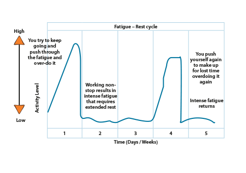 Fatigue graph demonstrating the rest cycle