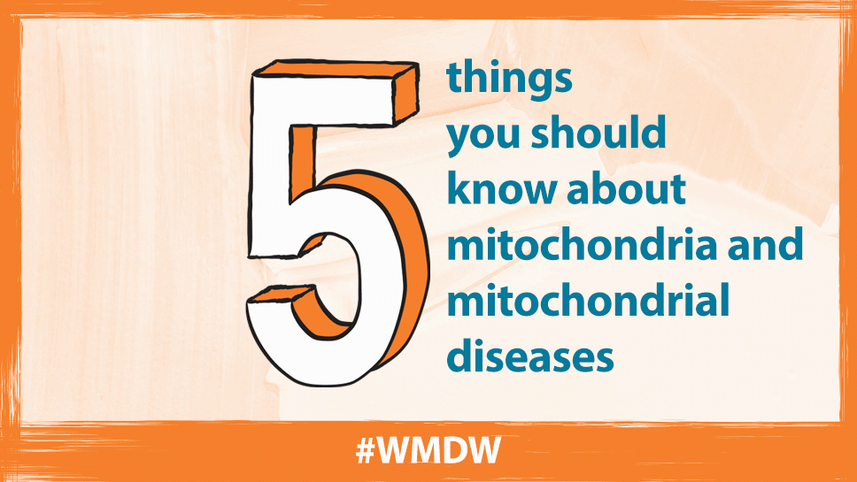 Orange banner with the title '5 things you should know about mitochondria and mitochondrial diseases'