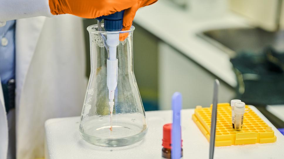 Research image of a scientist in orange gloves working with a beaker