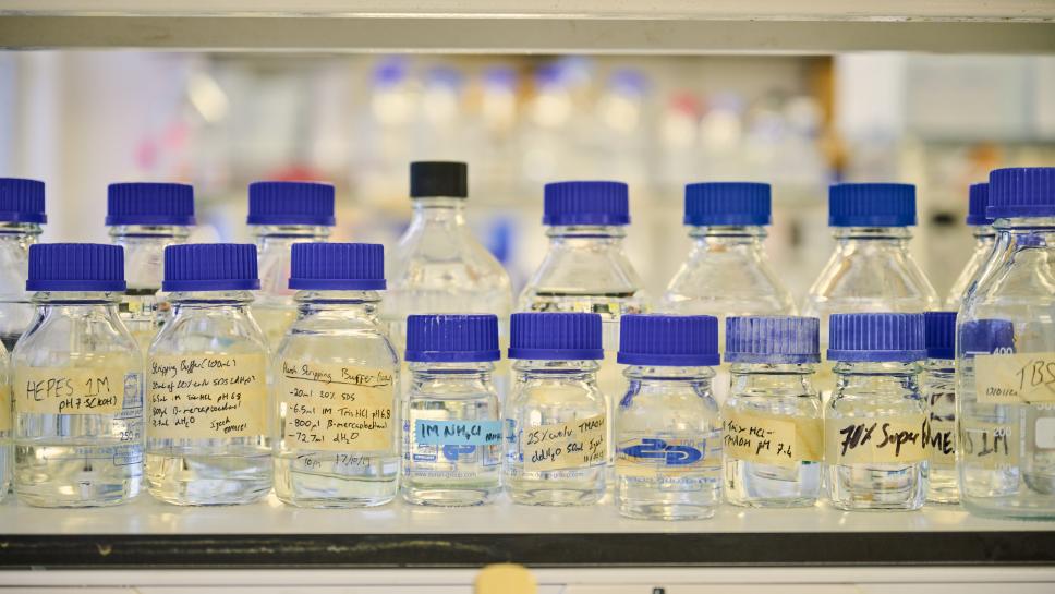 Research lab image of labelled bottles
