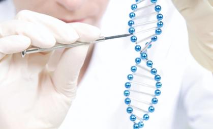 A picture of a scientist holding a section of DNA