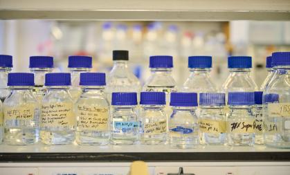 Research lab image of labelled bottles